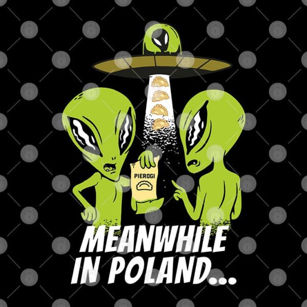 Alien Abduction Pierogi Polish Meanwhile In Poland