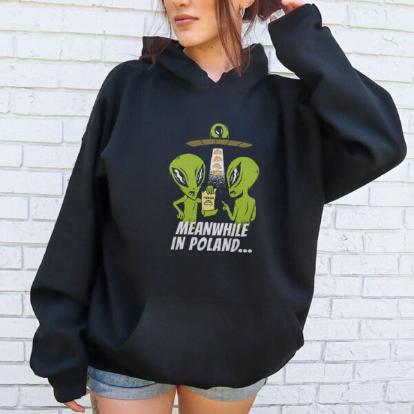 Alien Abduction Pierogi Polish Meanwhile In Poland Hoodie