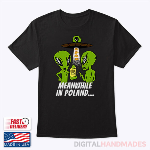 Black TShirt Alien Abduction Pierogi Polish Meanwhile In Poland Shirt