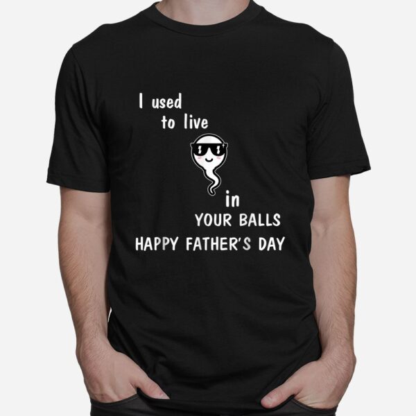 I Used To Live In Your Balls Shirt