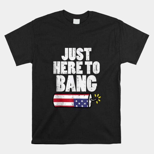 Fireworks Fun Fourth Shirt