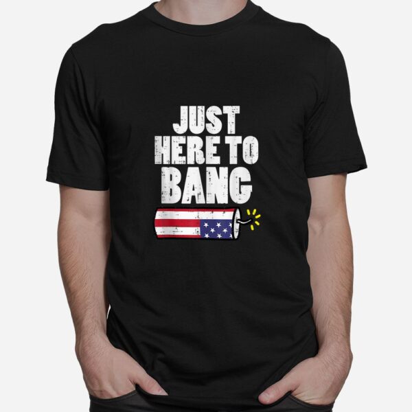 Fireworks Fun Fourth Shirt