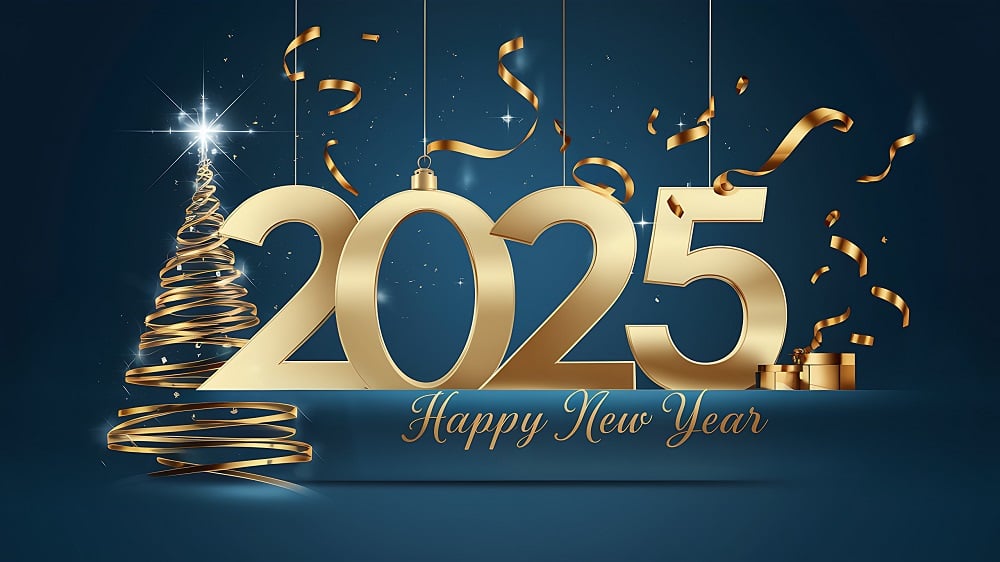 12 New Chapters 365 New Chances Happy New Year 2025 Shirt 8 Happy New Year 2025