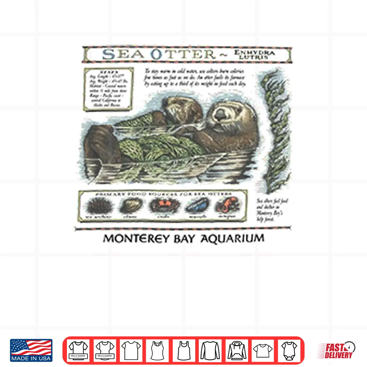 Taylor Swift Sea Otter Monterey Bay Aquarium Shirt Taylor Swift Sea Otter Monterey Bay Aquarium Shirt