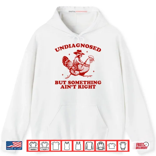 Hoodie Undiagnosed But Something Aint Right Funny Raccoon Chicken Shirt